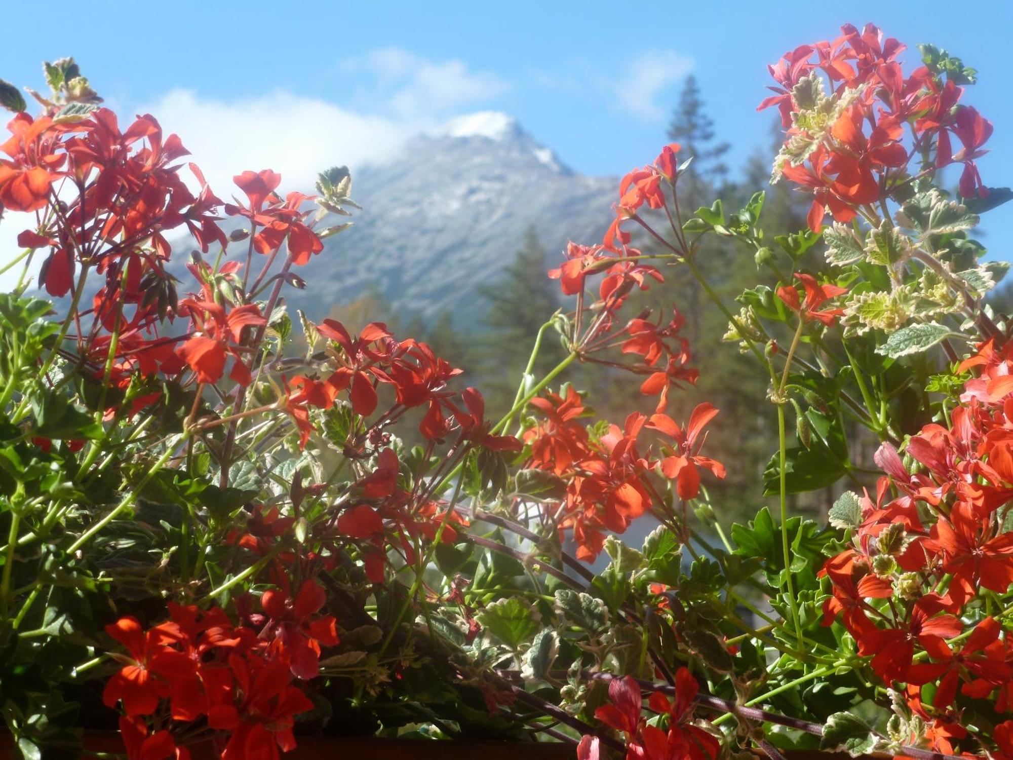 Erika Penzion Vysoké Tatry Εξωτερικό φωτογραφία